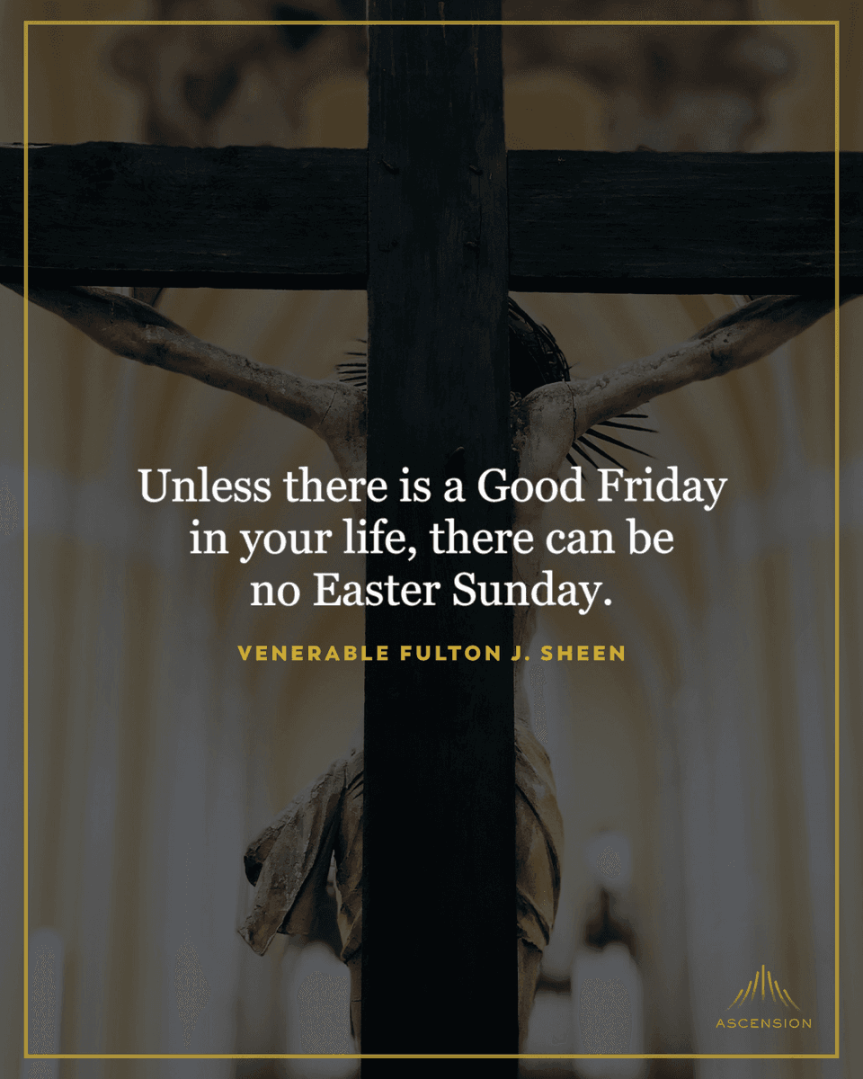 Ascension tweet media