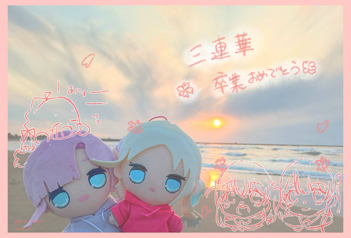 あにょざらし観測記 tweet media