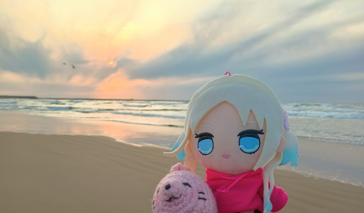 あにょざらし観測記 tweet media