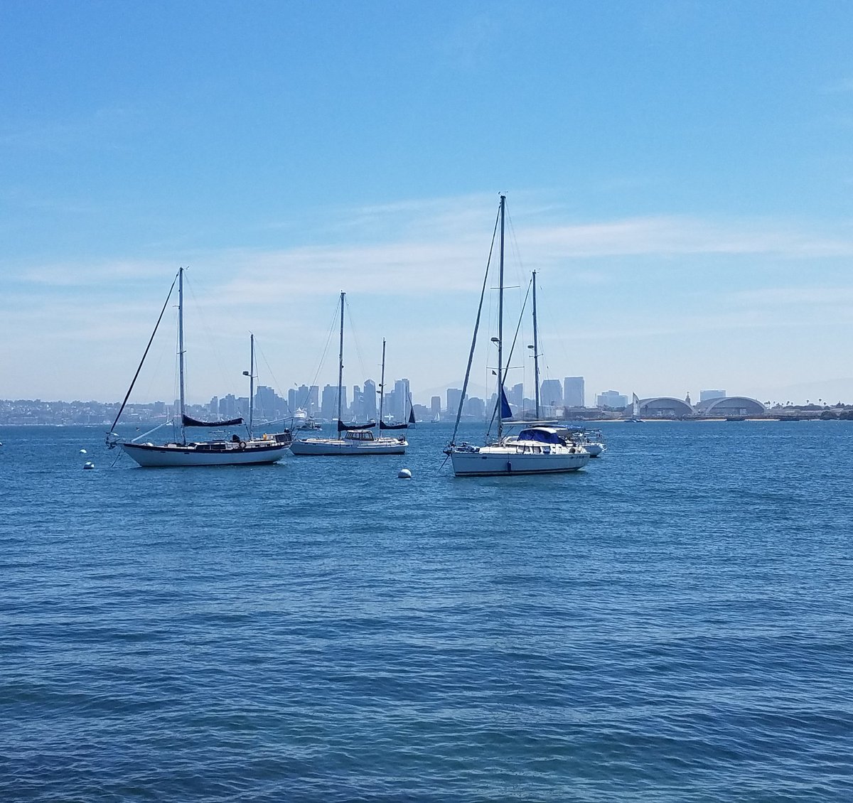 M O T T R A M tweet media