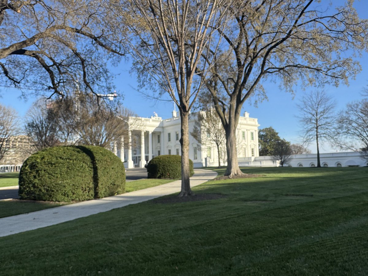 Hümeyra Pamuk tweet media