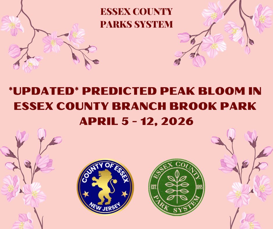 BranchBrookPark's tweet photo. Peak Bloom Update
April 5-April 12, 2026 https://t.co/zRjD7Igyav