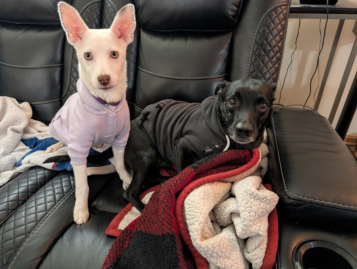 Edgecrusher98 tweet media