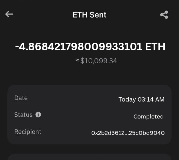 Crypto Rain tweet media