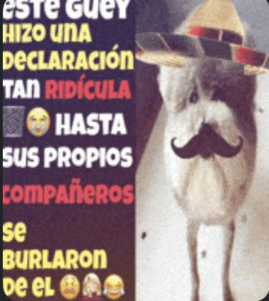 🗽✝️ tweet media