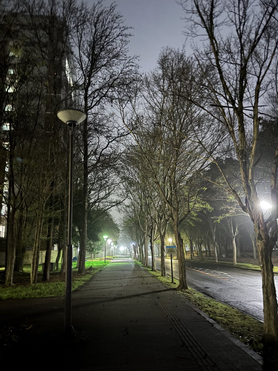 夜のキャンパス霧が濃くて神秘的でした
