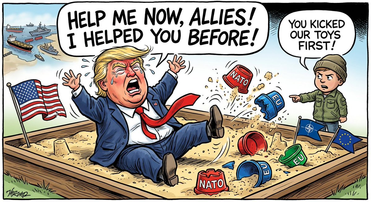 🐺 Wolf 🐺 tweet media