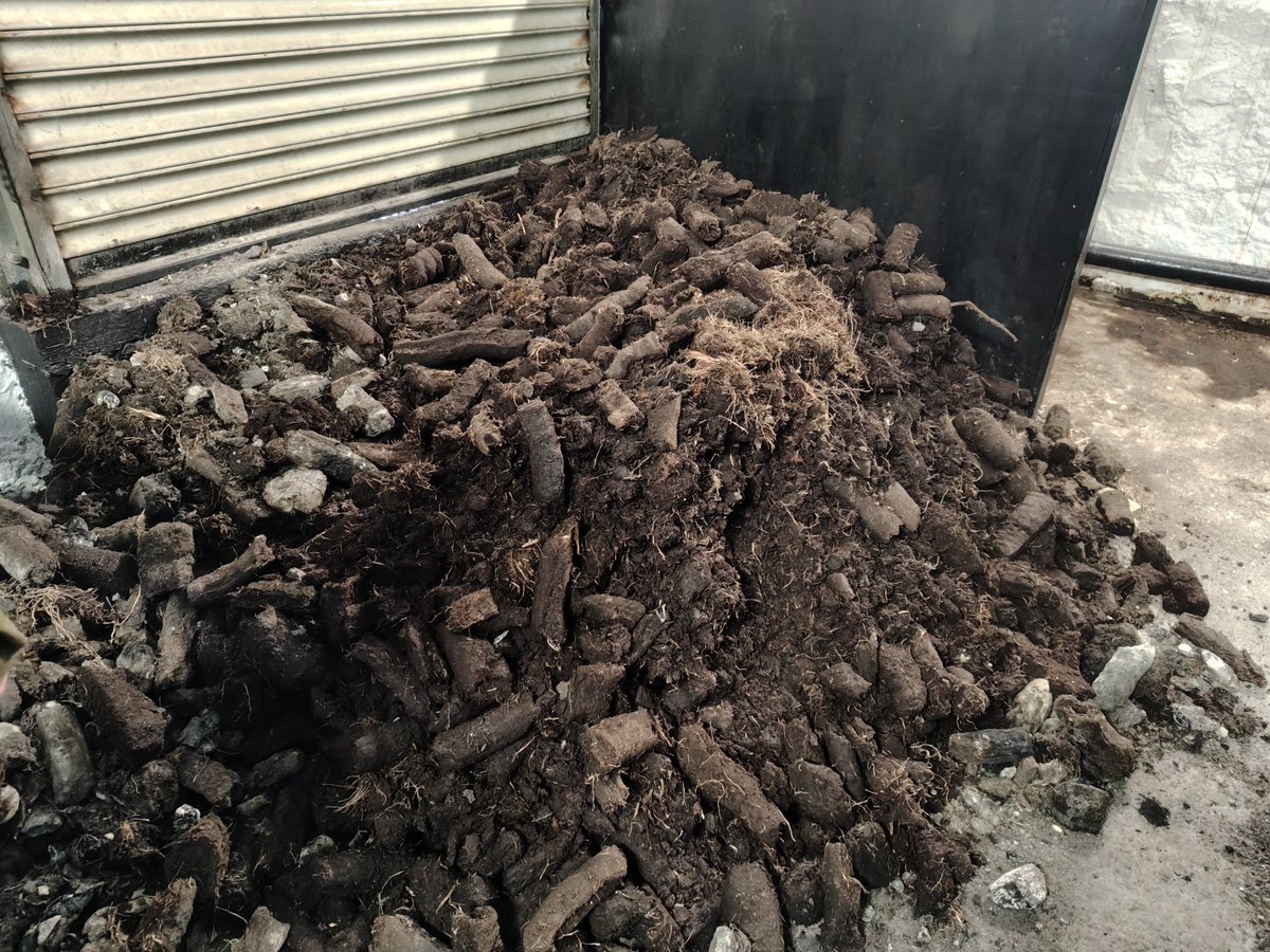 massaa 🗼🍣🍹🍧 tweet media