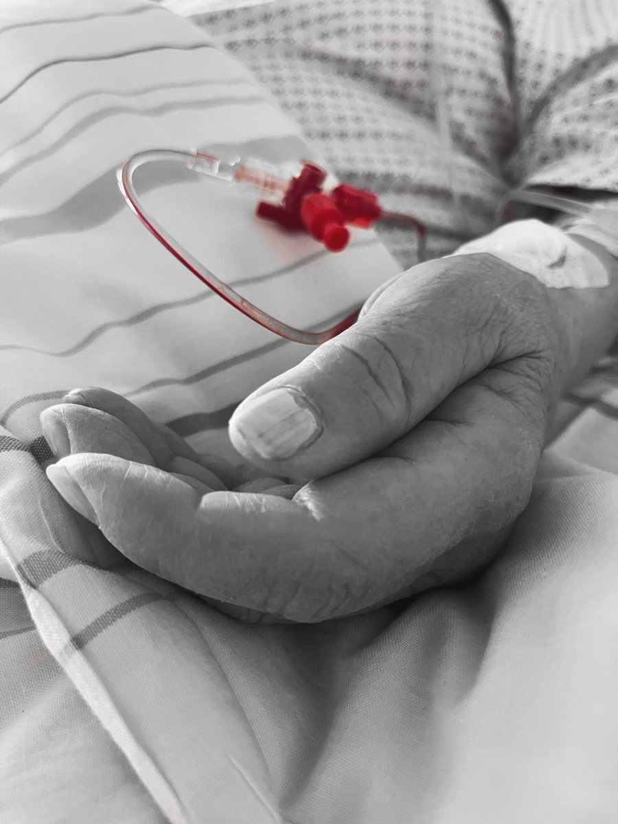 mephisto2102 tweet media