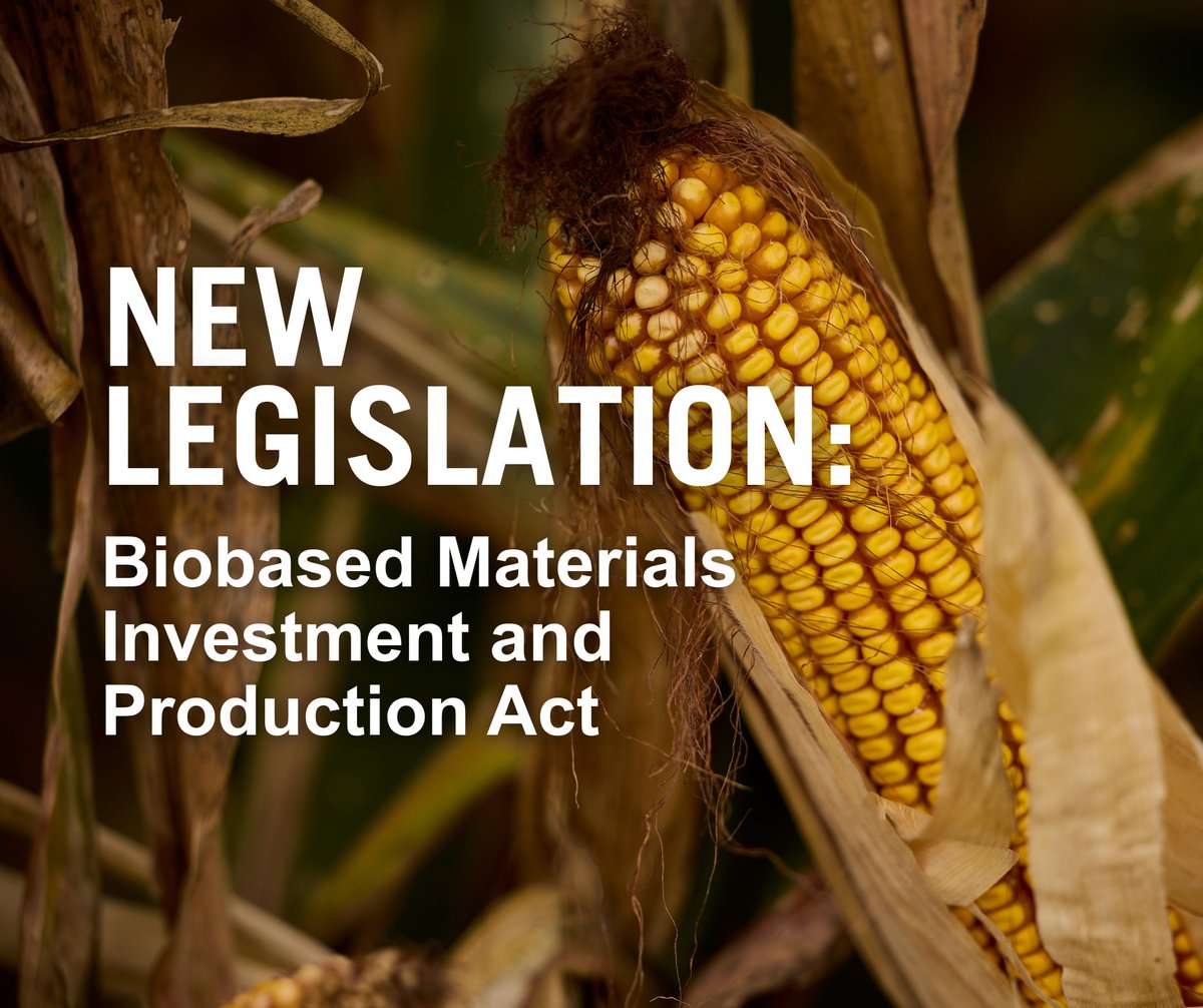 National Corn (NCGA) tweet media