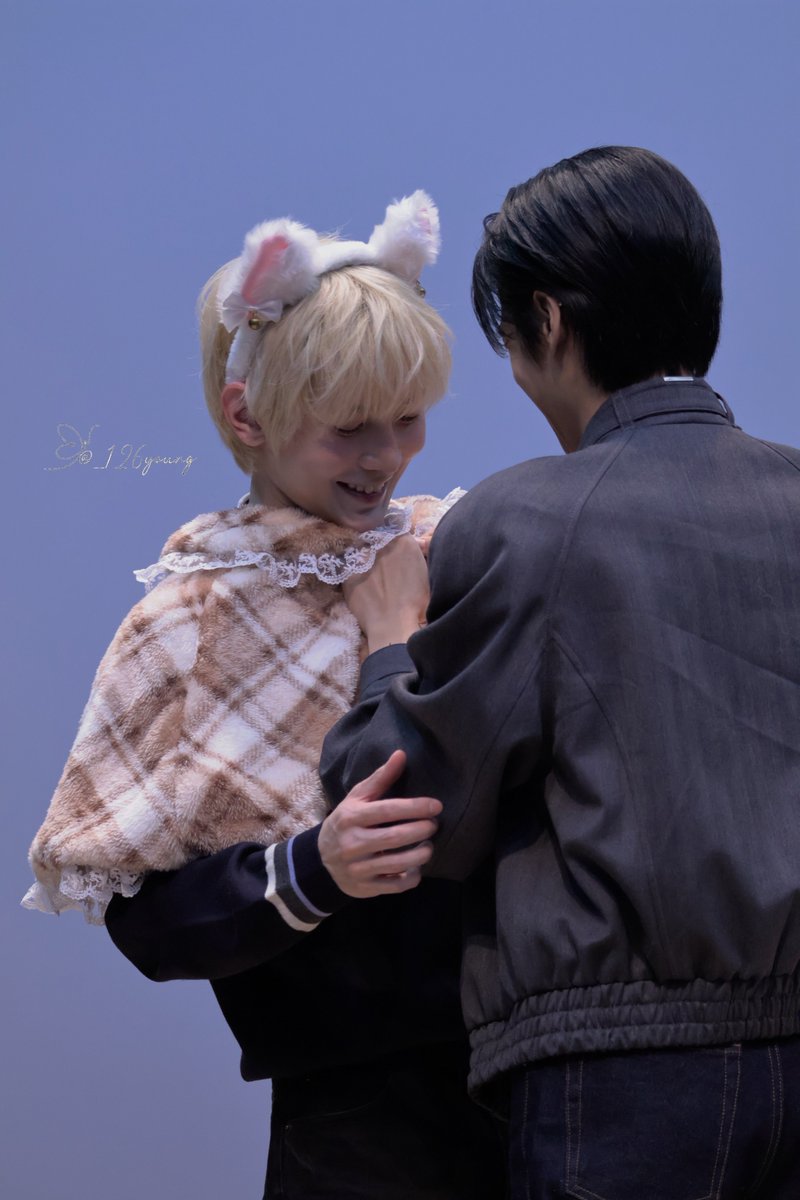 🐈⬛🦋 tweet media