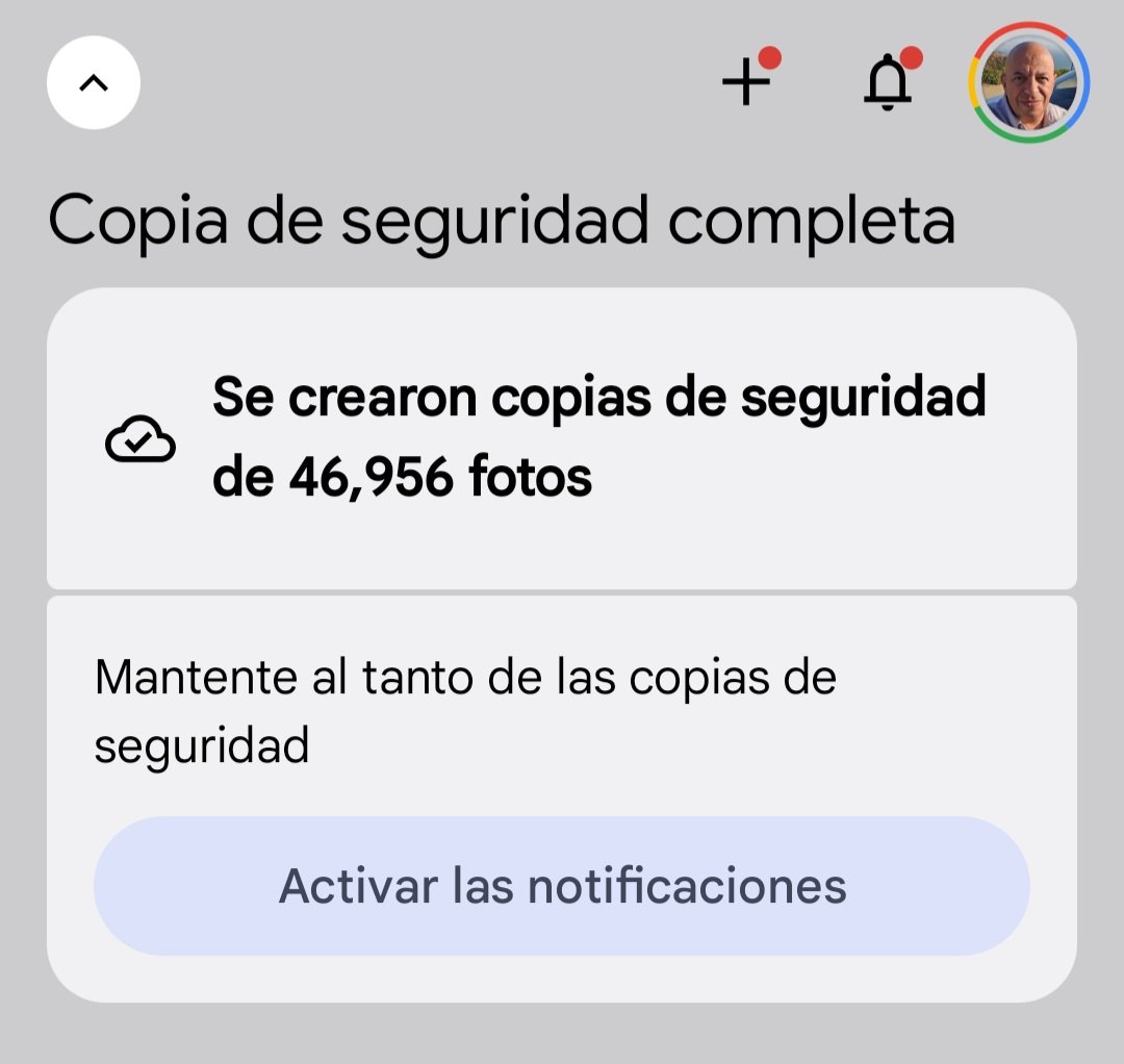 Javier Matuk tweet media