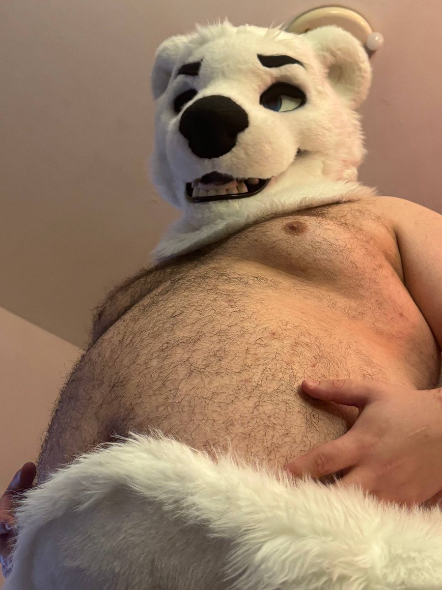 Tiro 🐻❄️ 🔜 FBL13 / 🇯🇵 tweet media