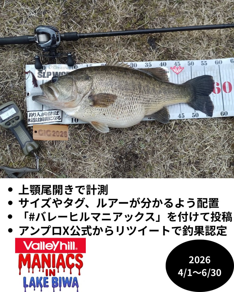 npoanpro's tweet photo. 【バレーヒルマニアックス開幕】

写真を参考に投稿お願いいたします👍

タグは『GIG2026』をオモテにして投稿してください✨

釣果を公式Xからリツイートされない場合はDMで教えてください🙏

参加者の皆様、安全に楽しみましょう🔥

#バレーヒルマニアックス https://t.co/gEobUUoLr6