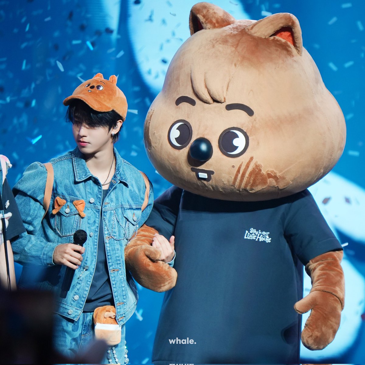 𝙬𝙝𝙖𝙡𝙚. tweet media