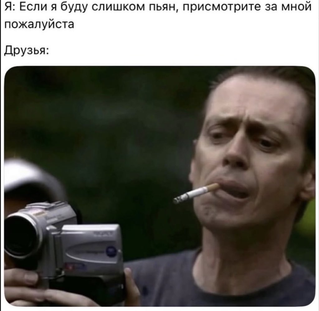 собачья королева tweet media