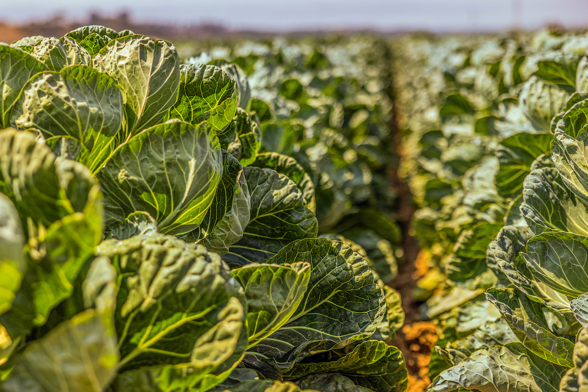 Cal State Monterey Bay tweet media