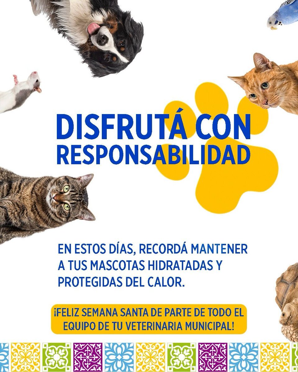 “¡Atención, capitalinos! 
Queremos informarles que nuestra Veterinaria Municipal hará una pausa por el feriado de Semana Santa. No cerramos operaciones, solo nos tomamos unos días de descanso para volver con todo el lunes 6 de abril.
¡Cuiden mucho a sus mascotas en estas