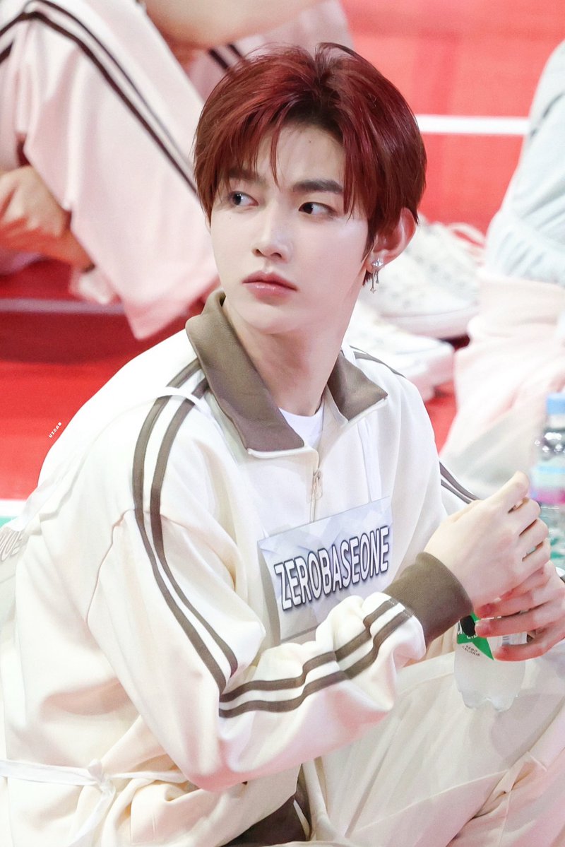 서비단 tweet media