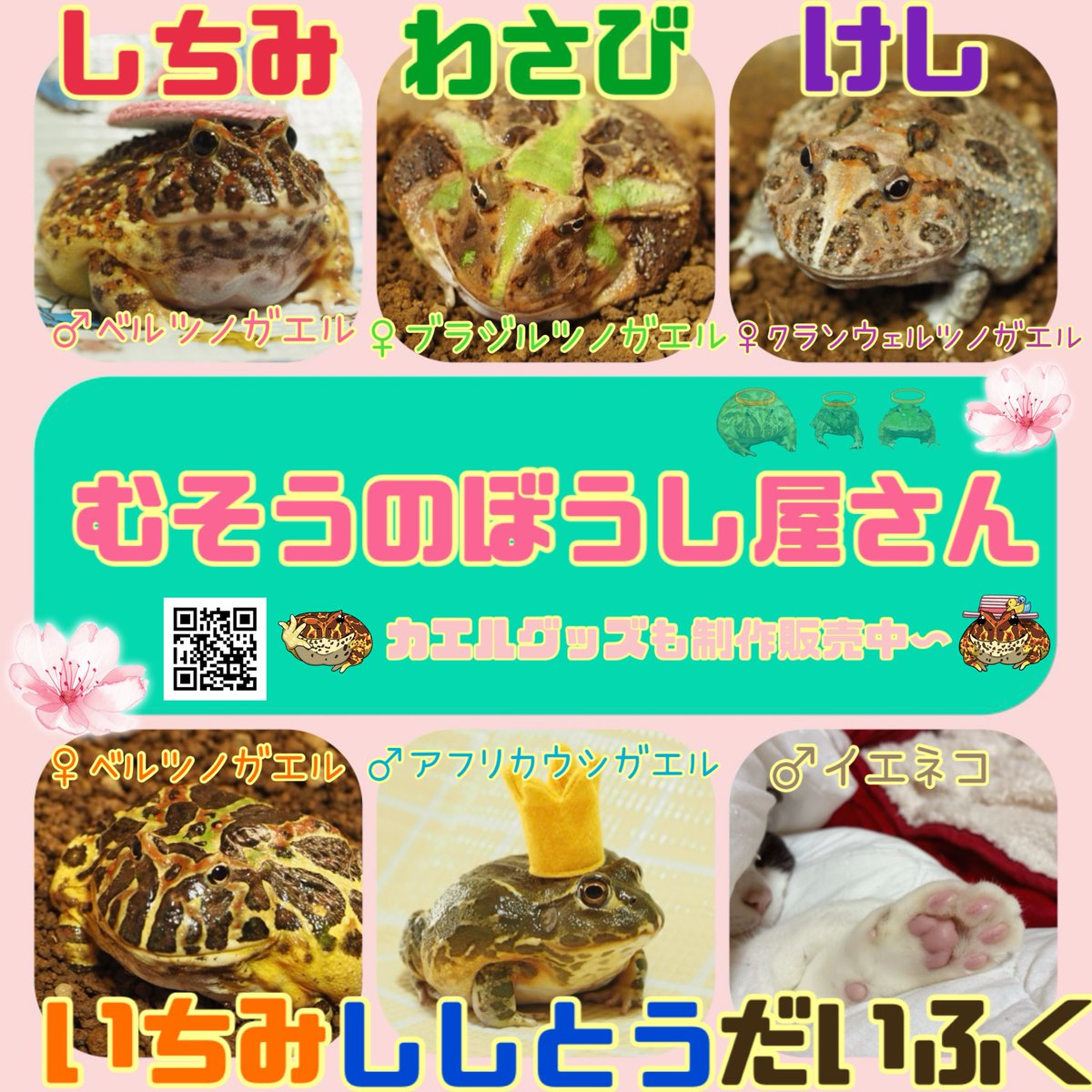 むそう🐸 tweet media