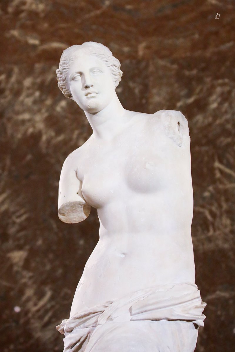 새싹행성 tweet media