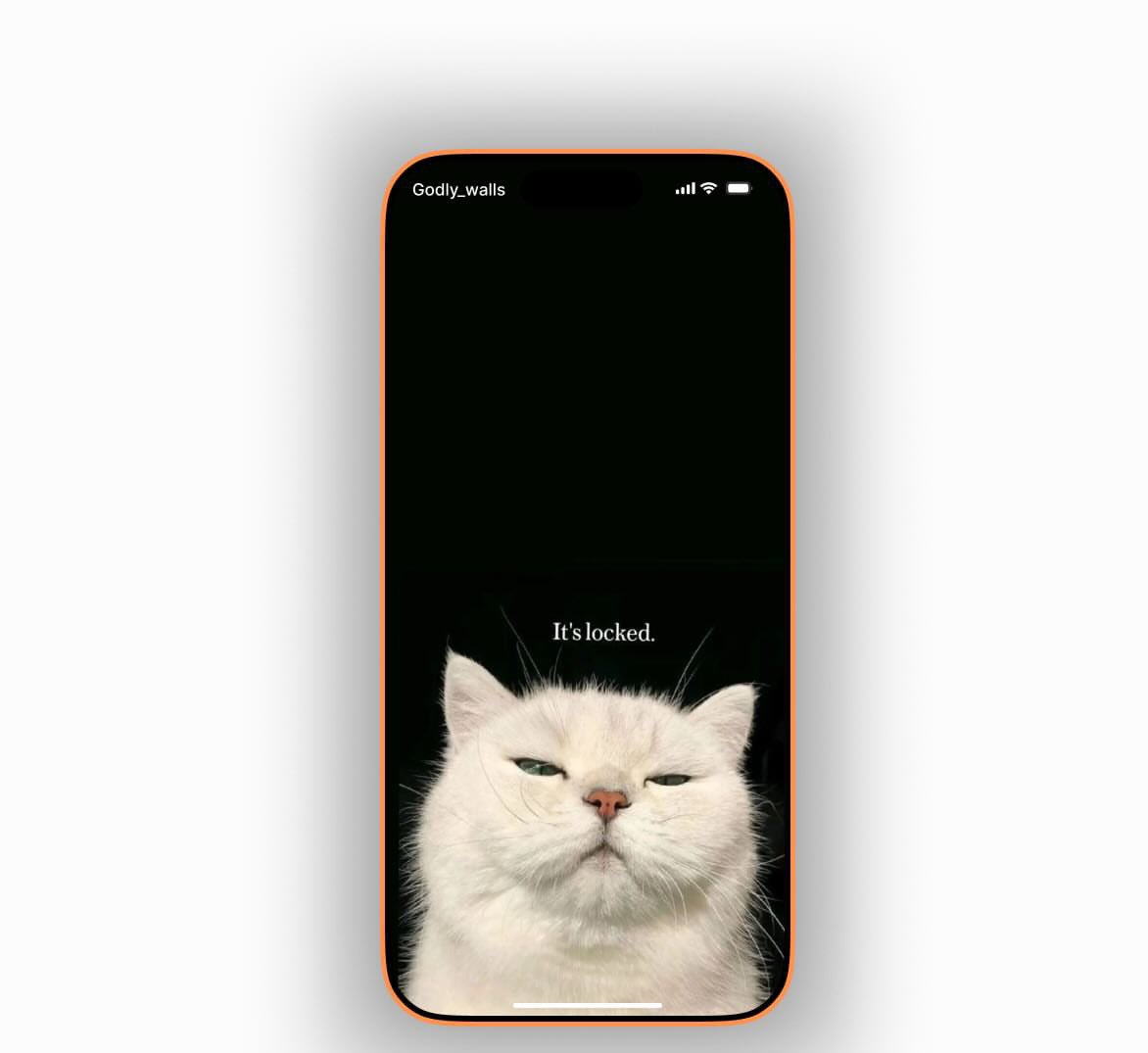 GHOSTFEED tweet media