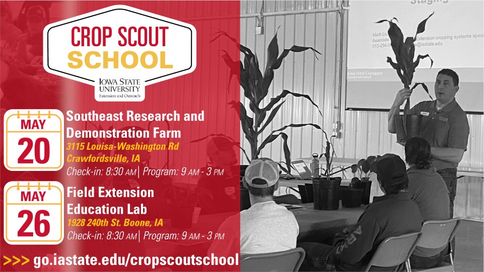 ISU Crop News tweet media