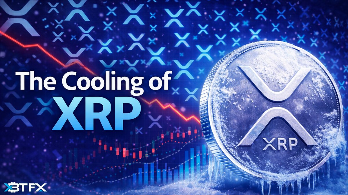 XBTFX tweet media