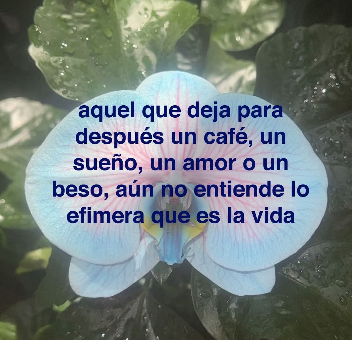 Nasty Poet tweet media