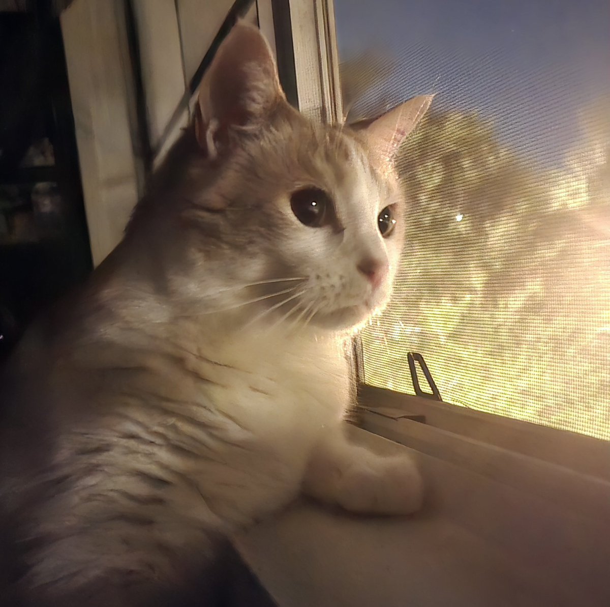 Zimbra 👻📼 | Static Ghost tweet media