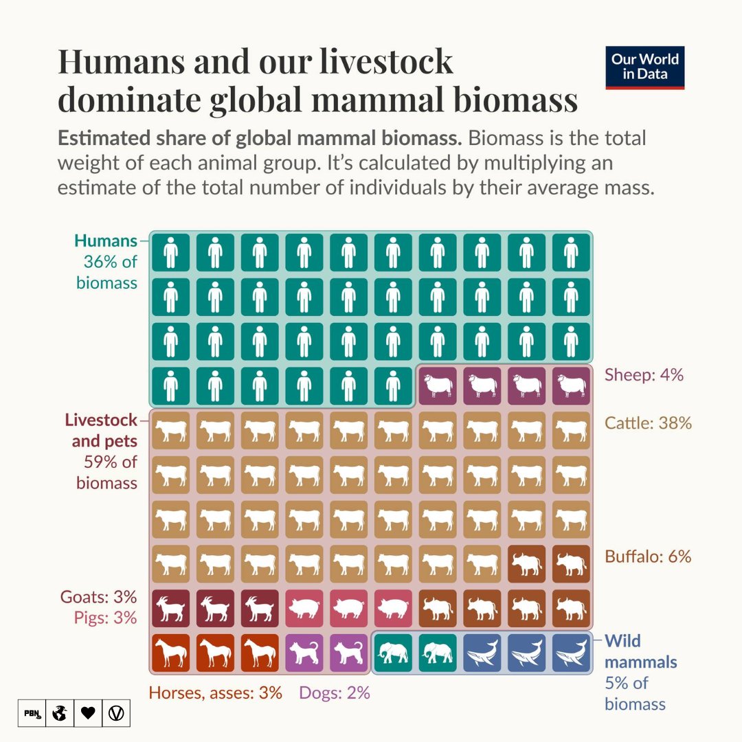 Plant Based News tweet media