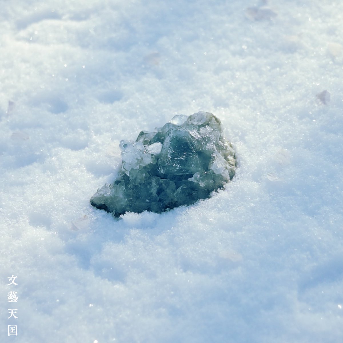 文藝天国 / Blooming Bungei tweet media