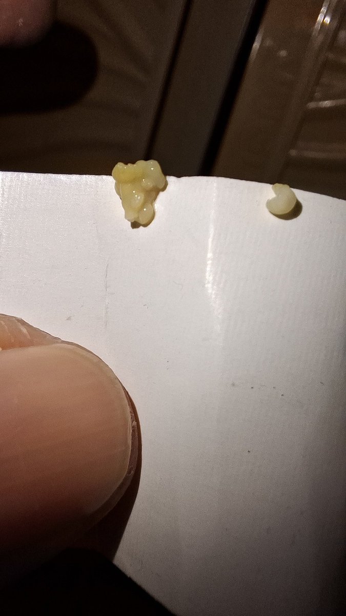 victoria tweet media