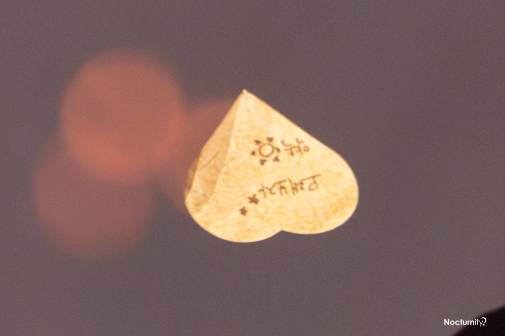 Nocturnity🌙 tweet media