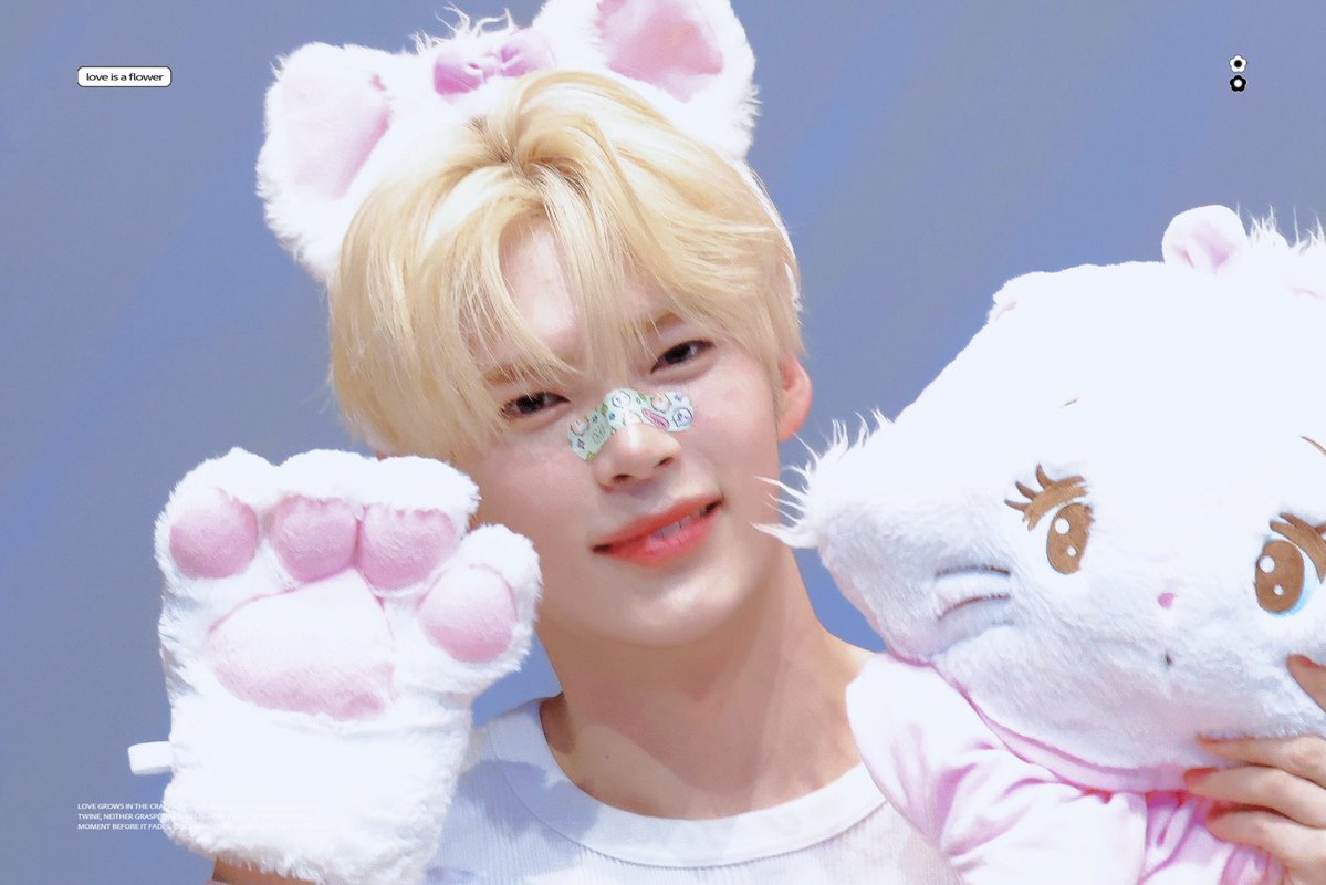 𝗟𝗢𝗩𝗘 𝗜𝗦 𝗔 𝗙𝗟𝗢𝗪𝗘𝗥 tweet media