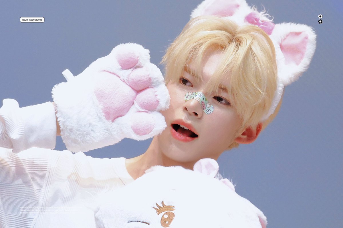 𝗟𝗢𝗩𝗘 𝗜𝗦 𝗔 𝗙𝗟𝗢𝗪𝗘𝗥 tweet media