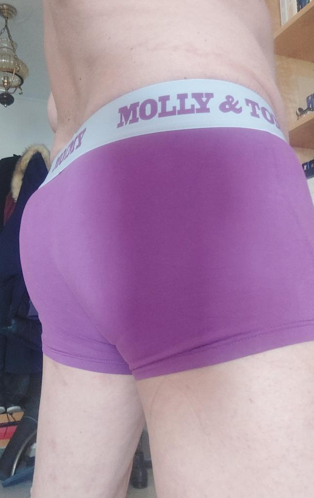 CBrownisback's tweet photo. @myunderweargasm Molly and Tommy purple boxer, buddy ! https://t.co/JryX3TAkaT