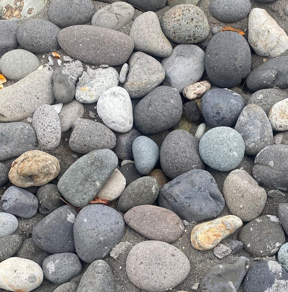 cao 2000+ testimoni 🍫 tweet media