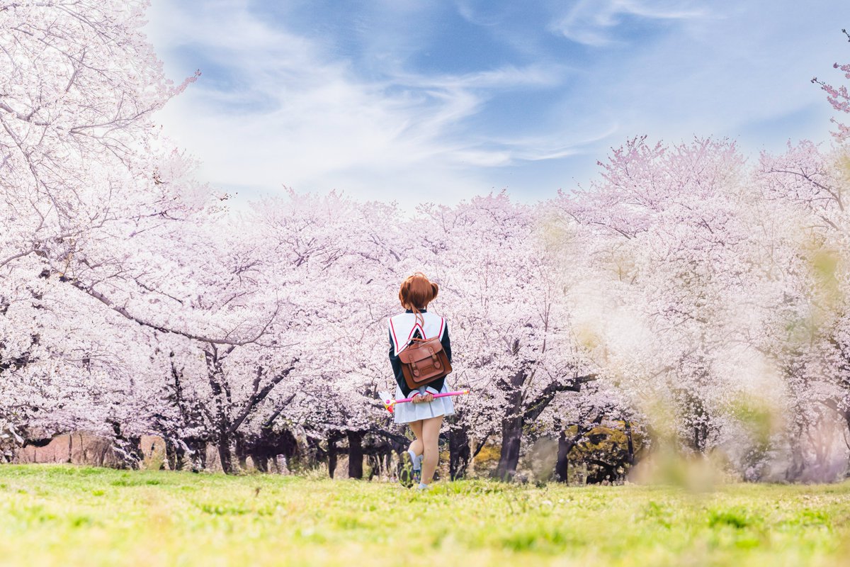 わたあめ＠ tweet media