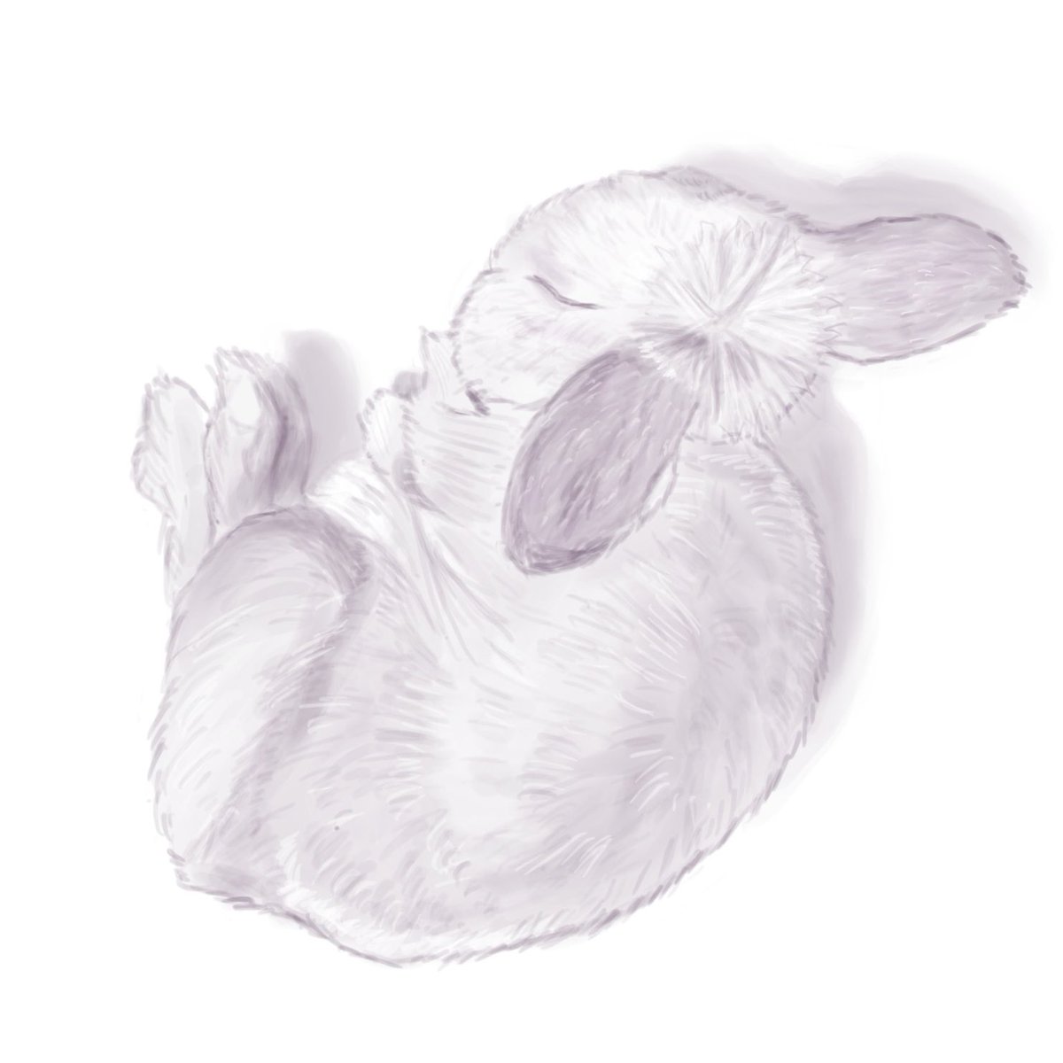 赤色うさぎ tweet media