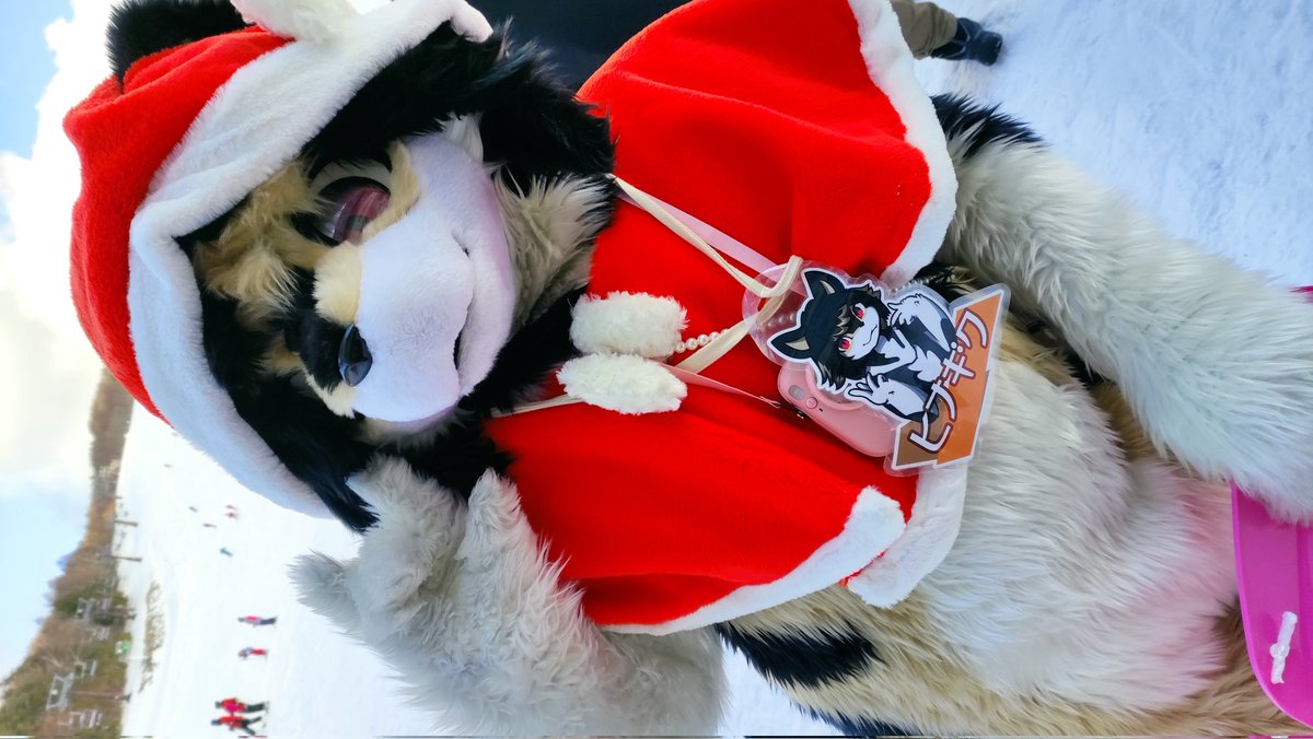 ひなぎく@嫁は白露 tweet media