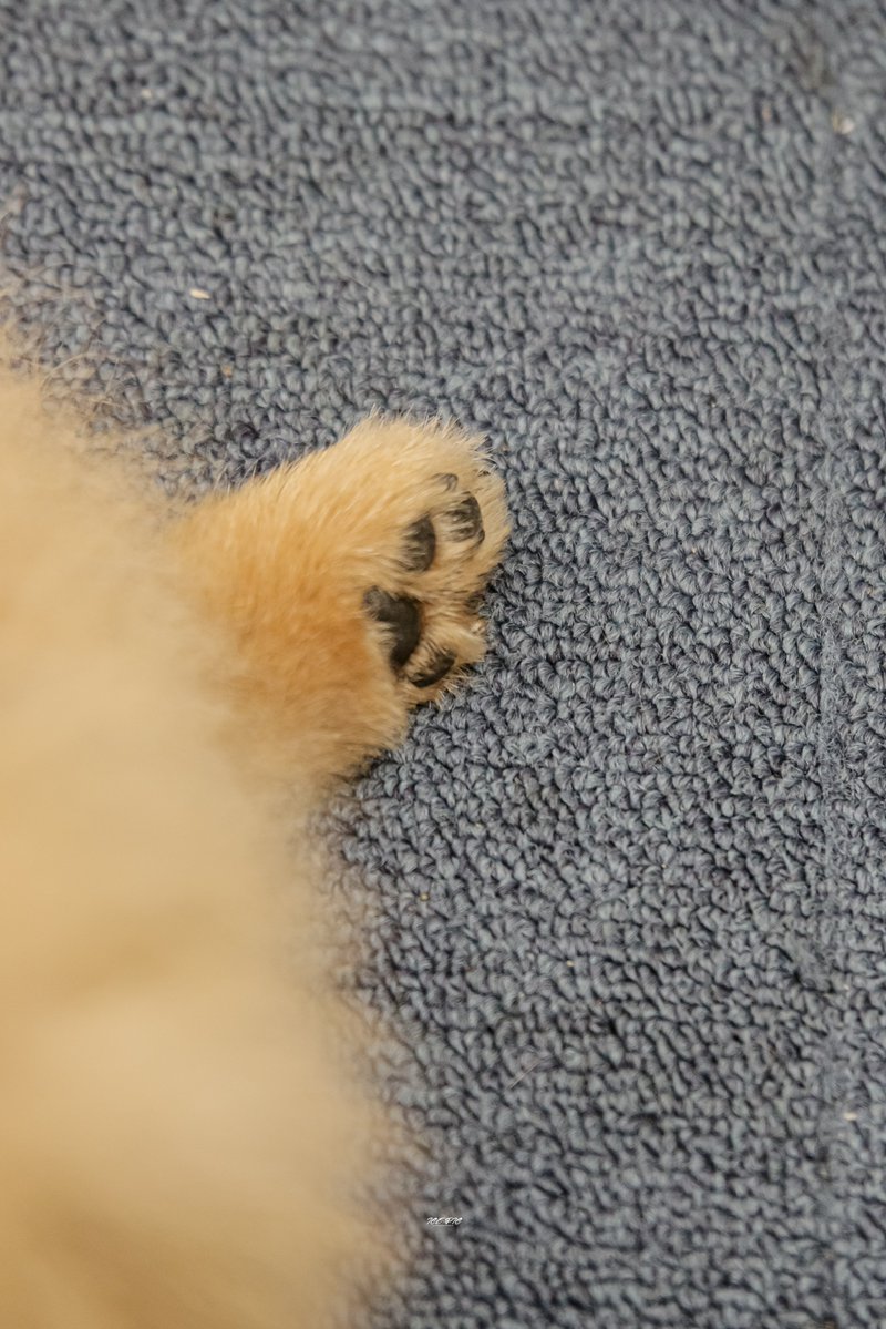 𝘪𝘤𝘦 𝘱𝘪𝘤 tweet media