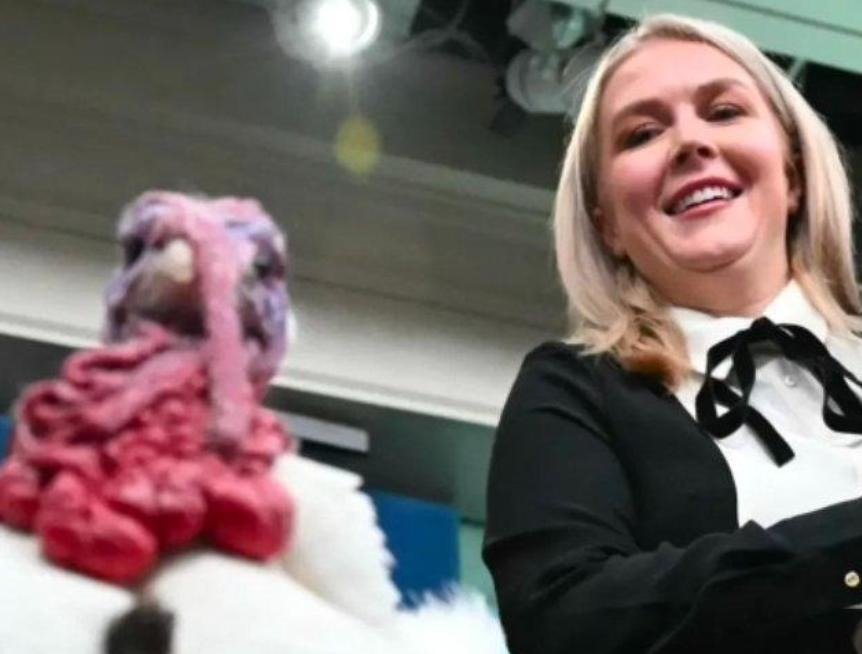 Democrats tweet media