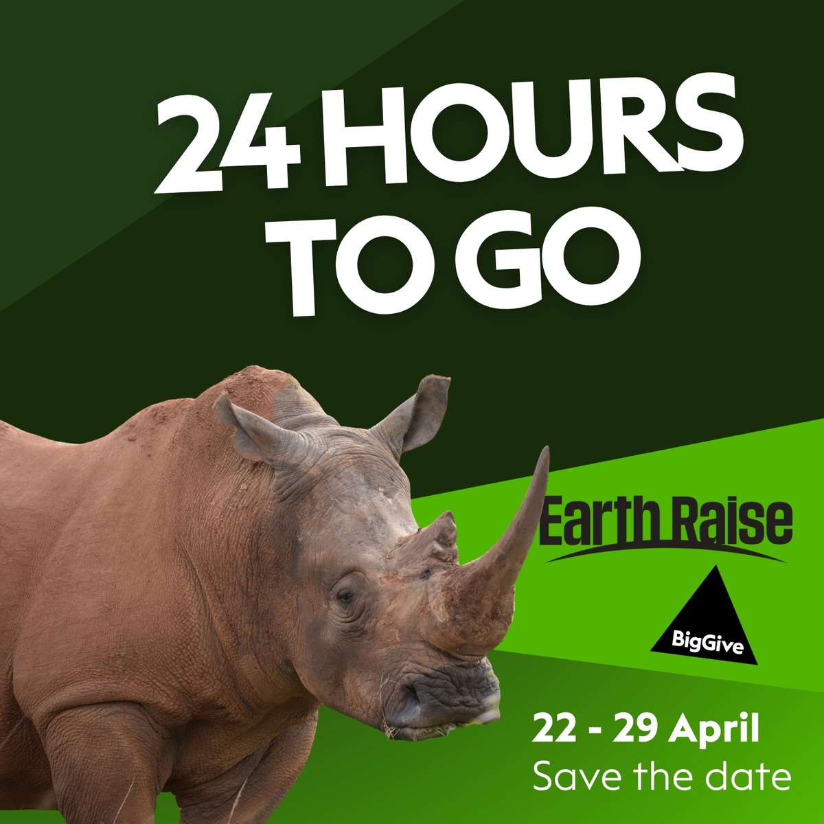 Helping Rhinos 🦏 tweet media