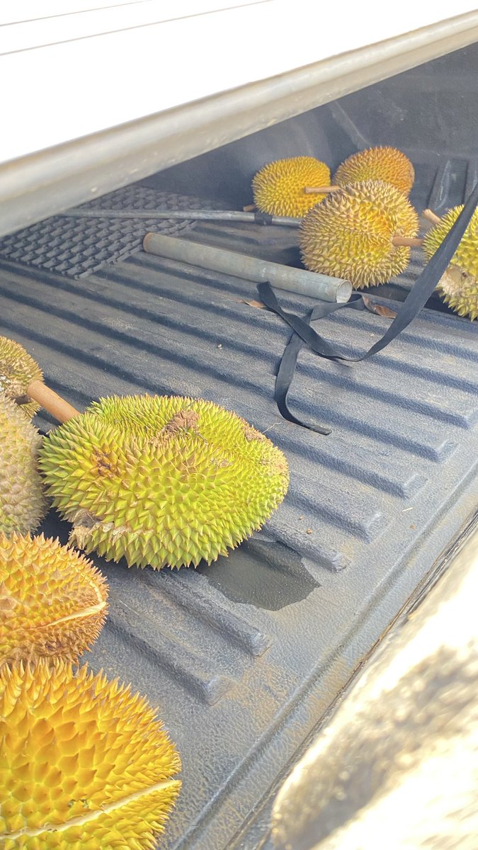 nija🌻 tweet media