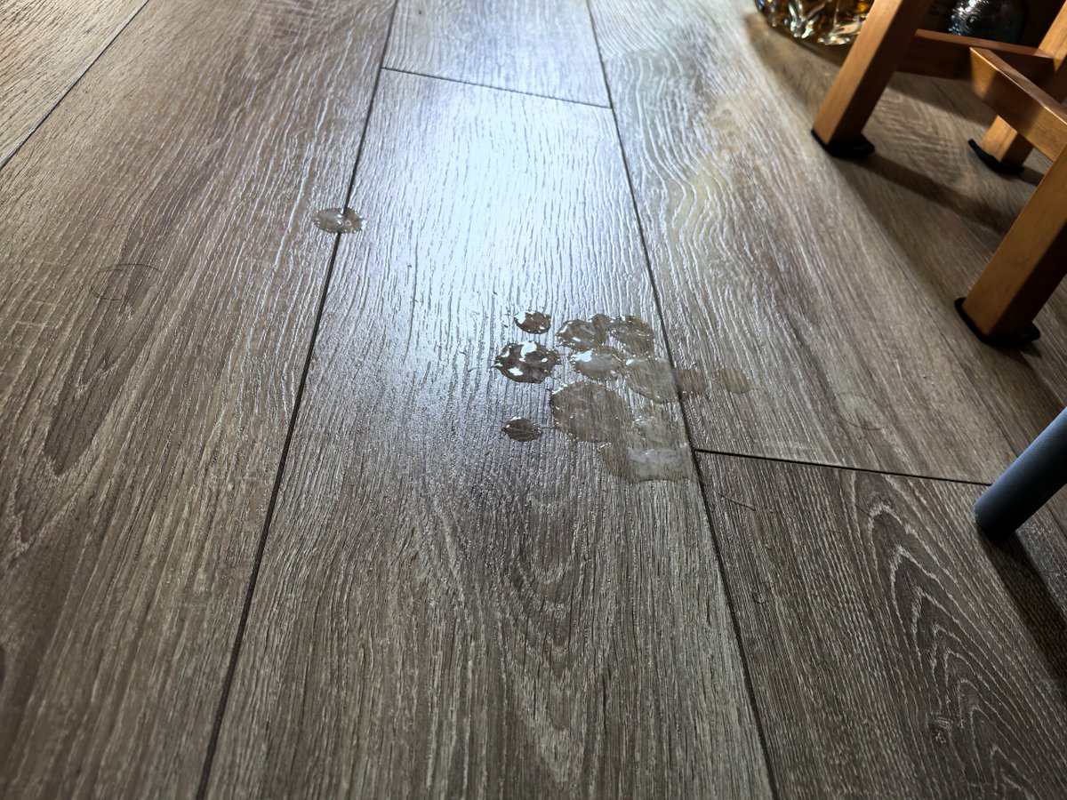 南京农（技术控射） tweet media