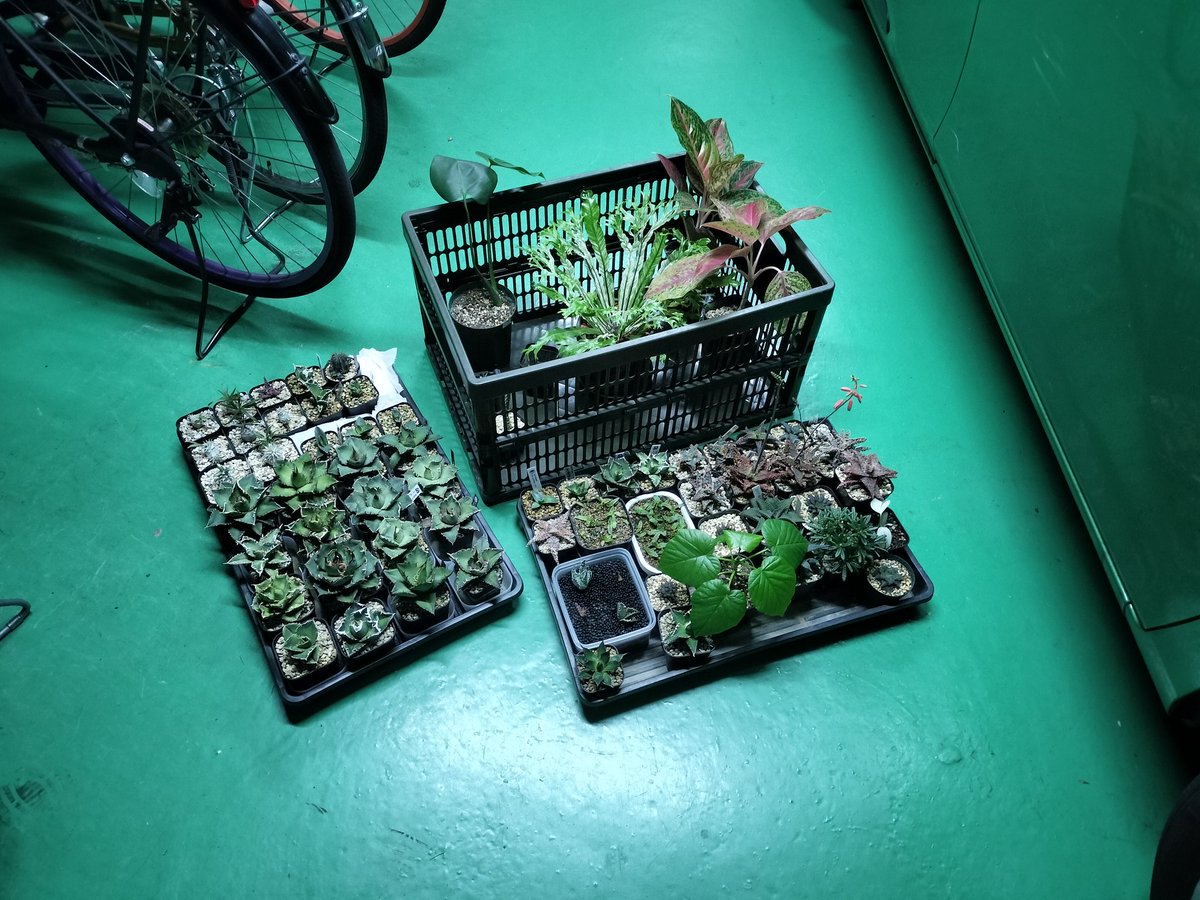 コスタタ👨‍🦱🔰 tweet media