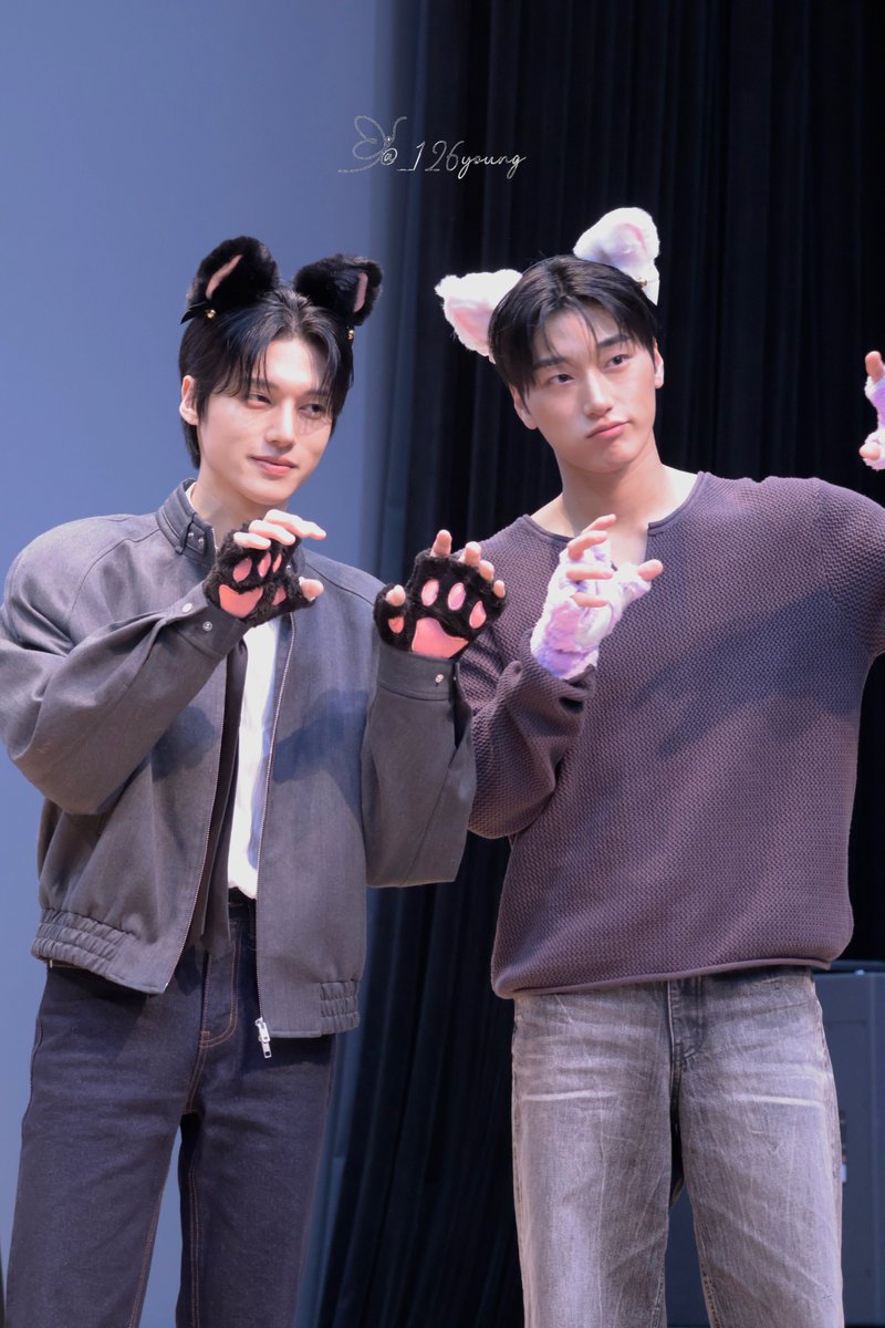 🐈⬛🦋 tweet media