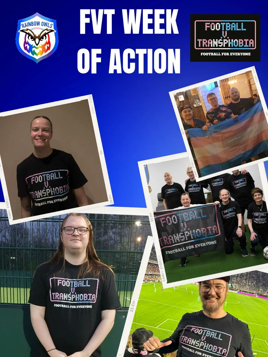 Rainbow Owls tweet media