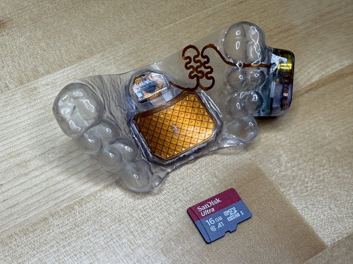 Robert Dale Smith tweet media